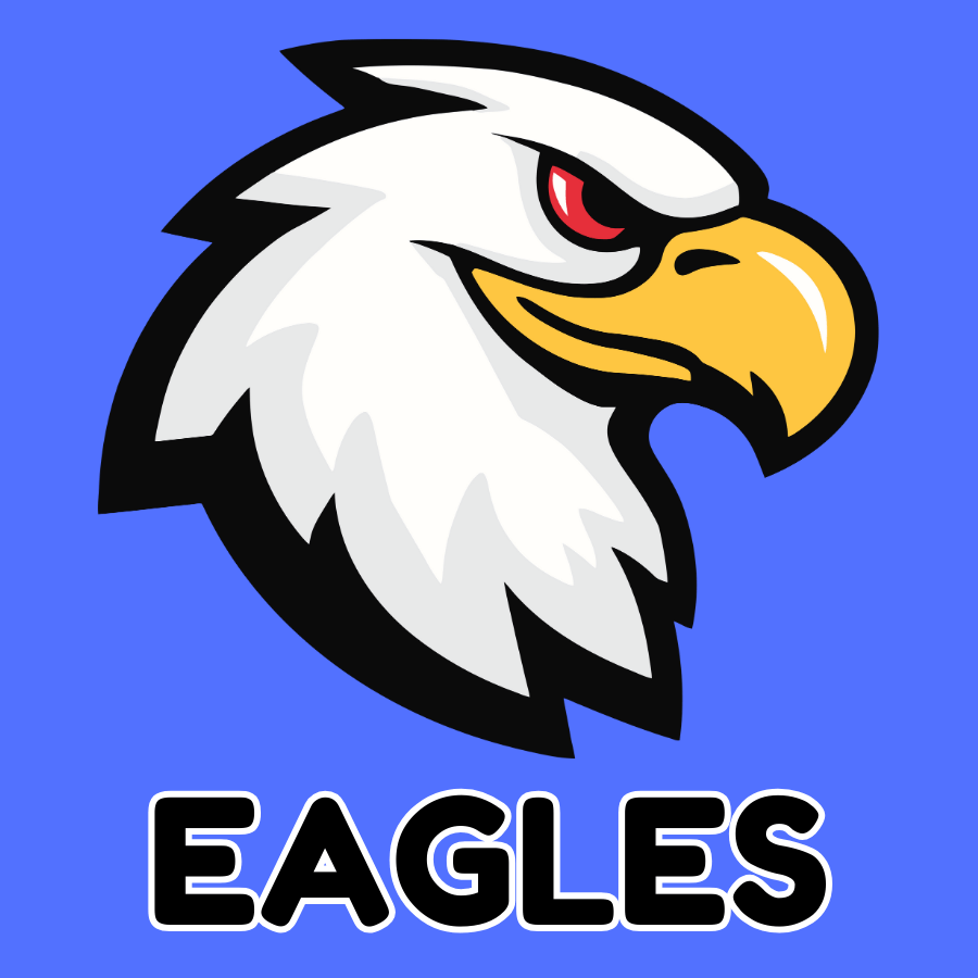 Broadview Eagles - 931 Graphics