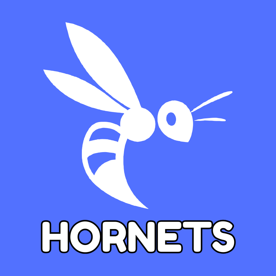 Huntland Hornets - 931 Graphics