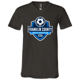 3005 Bella + Canvas Unisex Jersey SS V - Neck T-Shirt - 931 Graphics