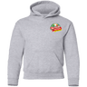 Repicci's Gildan Youth Pullover Hoodie - 931 Graphics